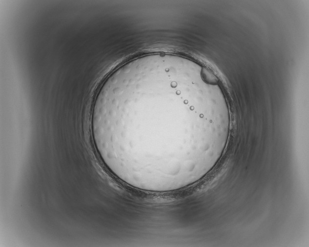 X0000113090529200908281009