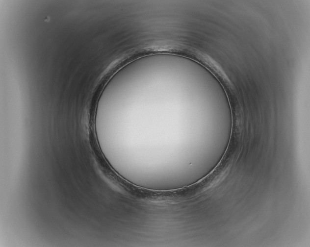 X0000113090530200908281009