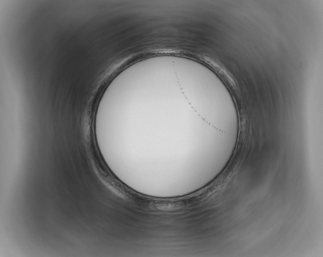 X0000113090533200908281009