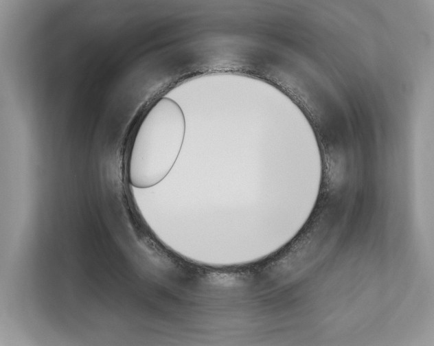 X0000113090534200908281009