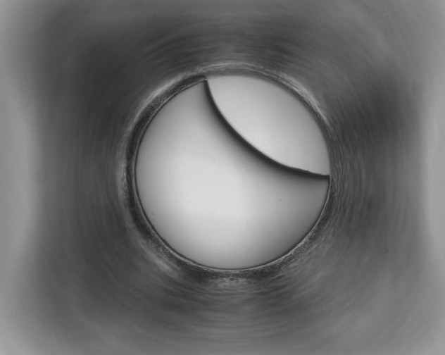 X0000113090535200908281009