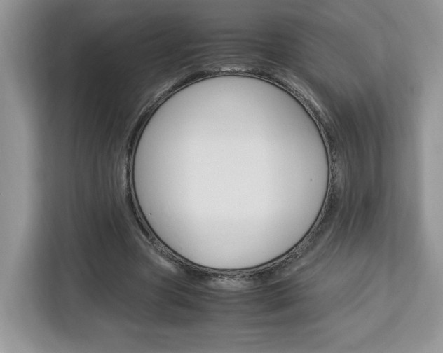 X0000113090537200908281009