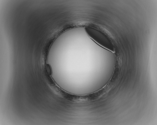 X0000113090546200908281009