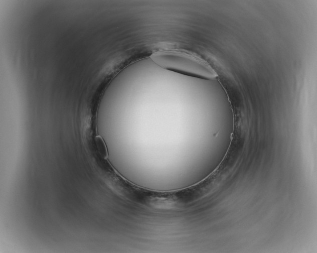 X0000113090548200908281009