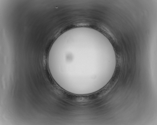 X0000113090549200908281009