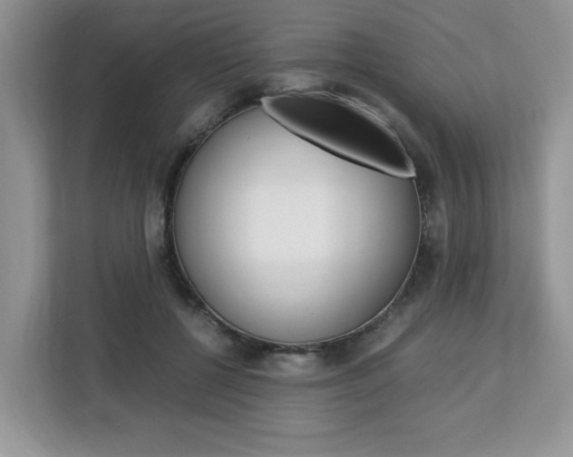 X0000113090552200908281009