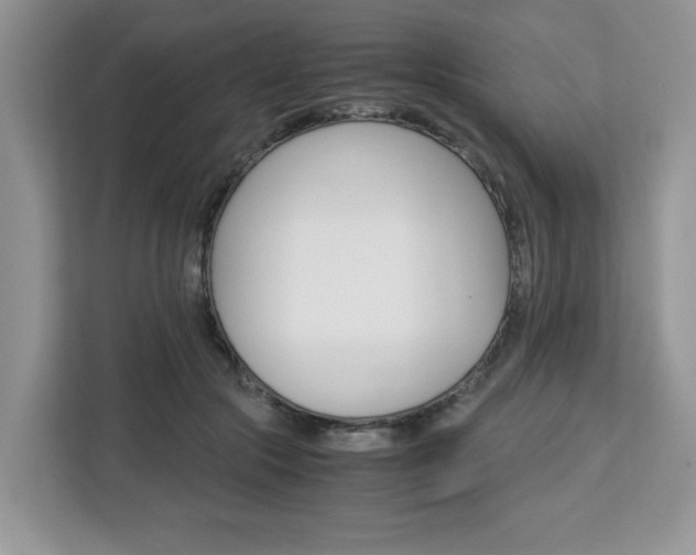 X0000113090553200908281009