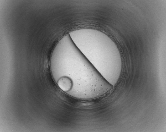 X0000113090555200908281009