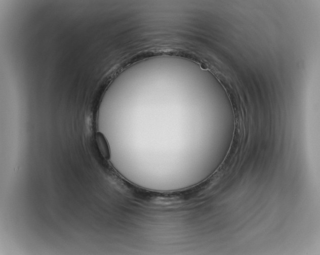 X0000113090556200908281009