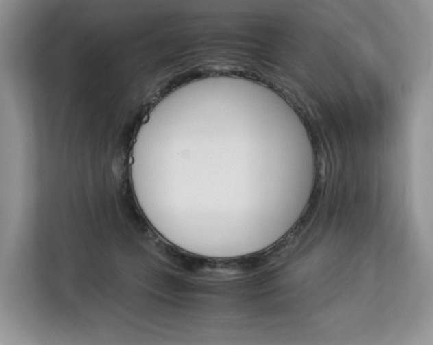 X0000113090559200908281009