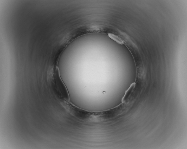 X0000113090560200908281009