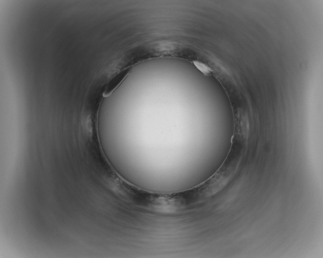 X0000113090562200908281009