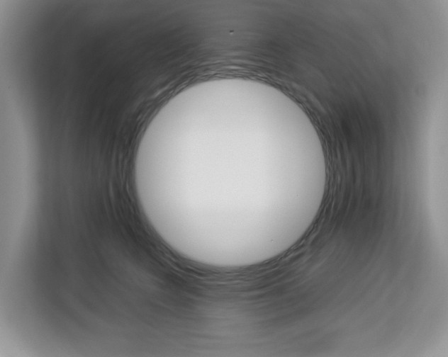 X0000113090566200908281009