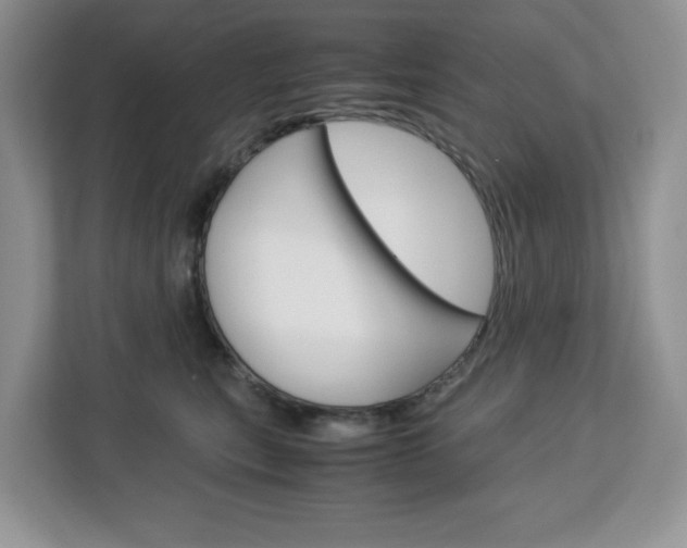 X0000113090567200908281009