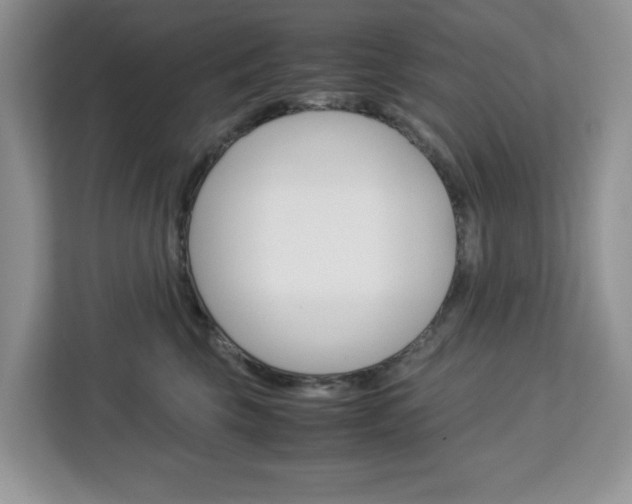 X0000113090569200908281010