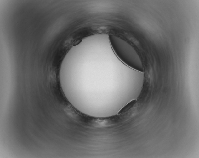 X0000113090570200908281010