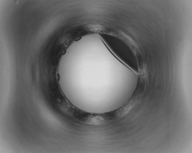 X0000113090572200908281010