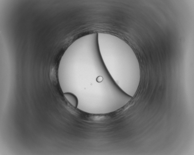 X0000113090575200908281010