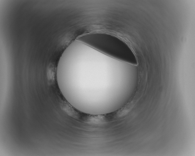 X0000113090576200908281010