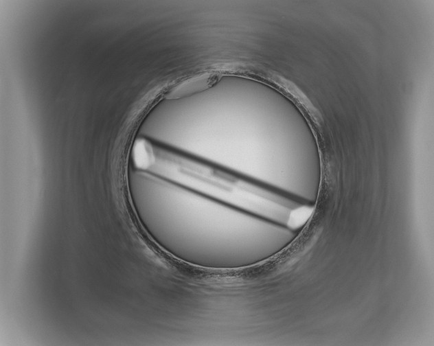 X0000113090577200908281009