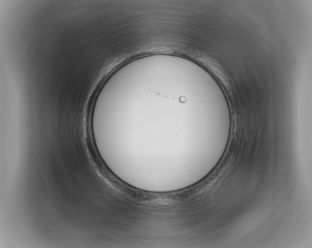 X0000113090578200908281009