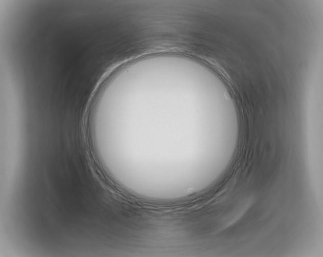 X0000113090579200908281009