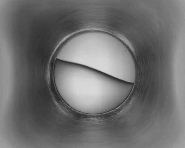 X0000113090580200908281009