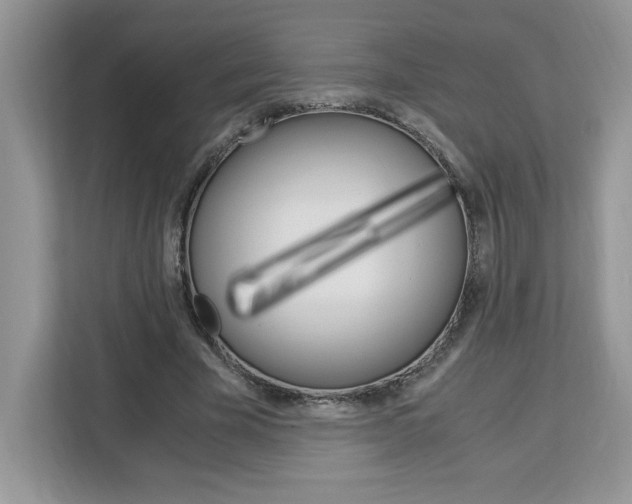 X0000113090585200908281009