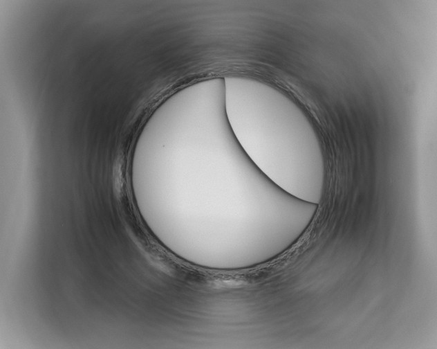 X0000113090586200908281009