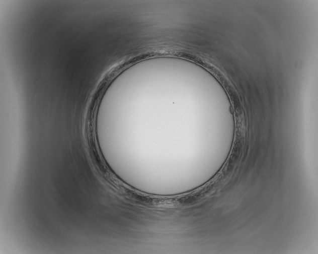 X0000113090587200908281009
