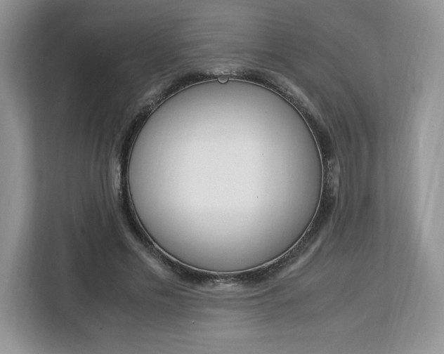 X0000113090589200908281009