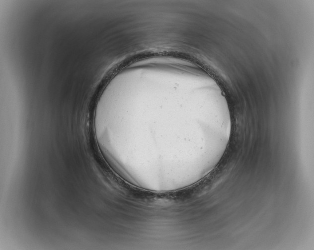 X0000113090592200908281009