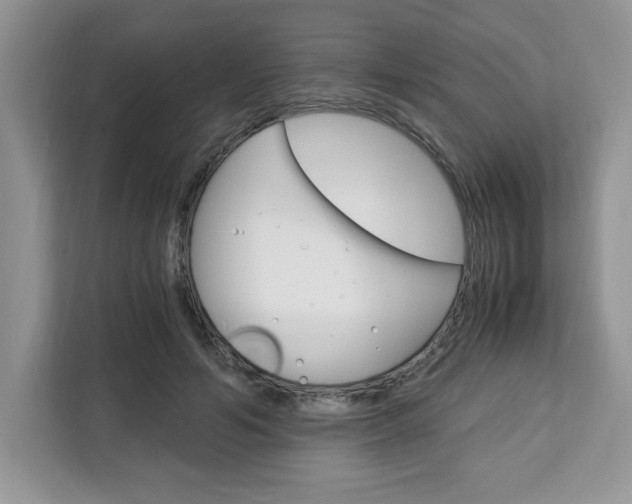 X0000113090594200908281009