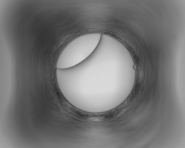 X0000113090595200908281009