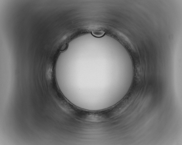 X0000113090596200908281009