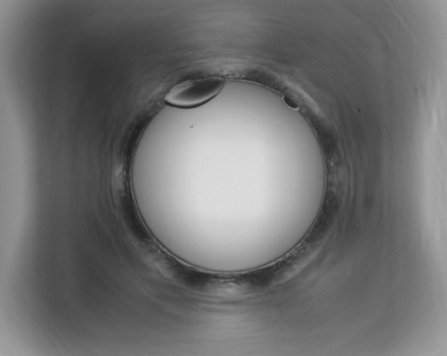 X0000113090597200908281009