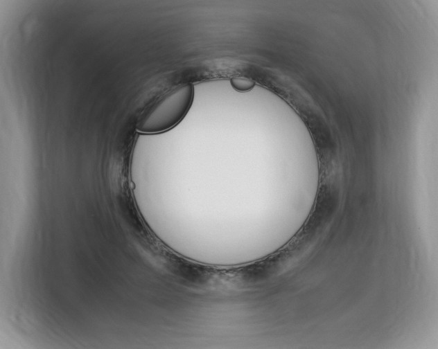 X0000113090599200908281009