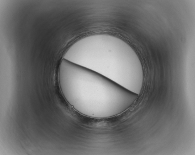 X0000113090600200908281009