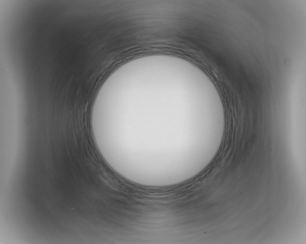 X0000113090601200908281009