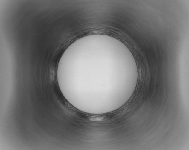 X0000113090602200908281009