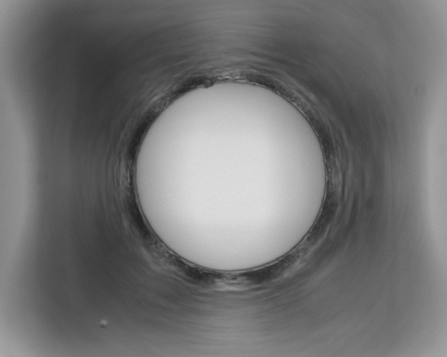 X0000113090603200908281009