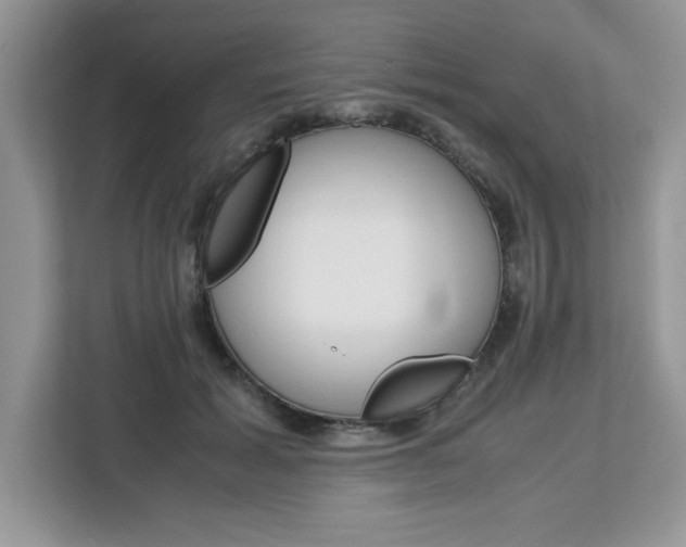 X0000113090605200908281009