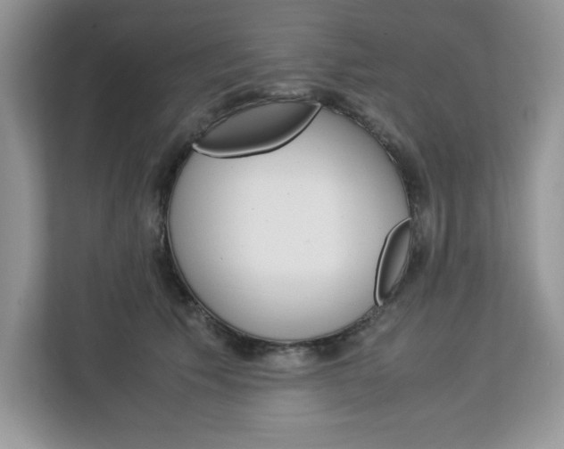 X0000113090609200908281009