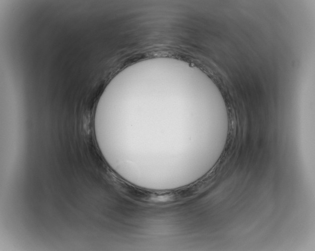 X0000113090610200908281009