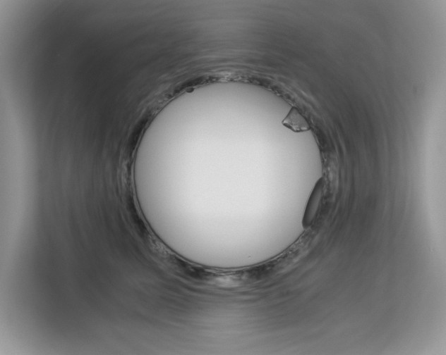 X0000113090611200908281009