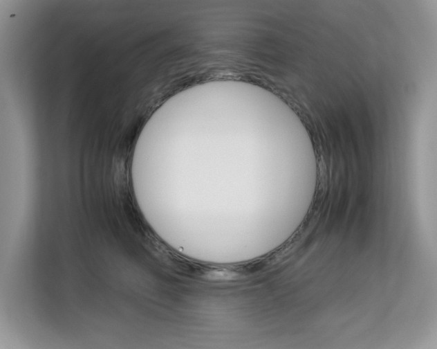 X0000113090614200908281009