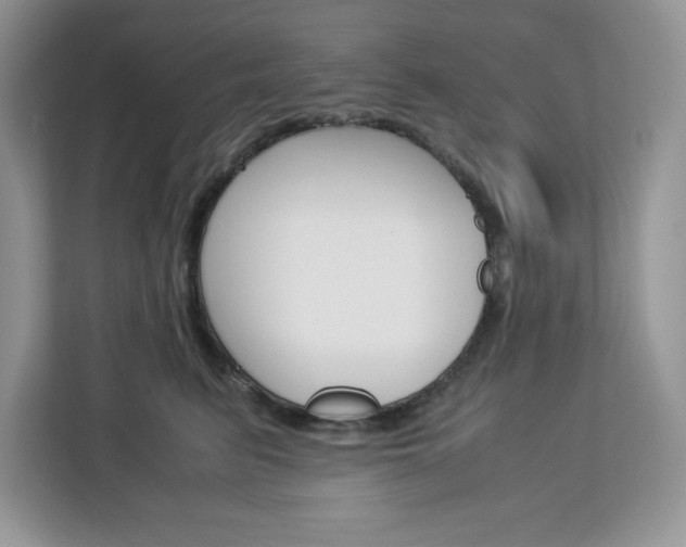X0000113090615200908281008
