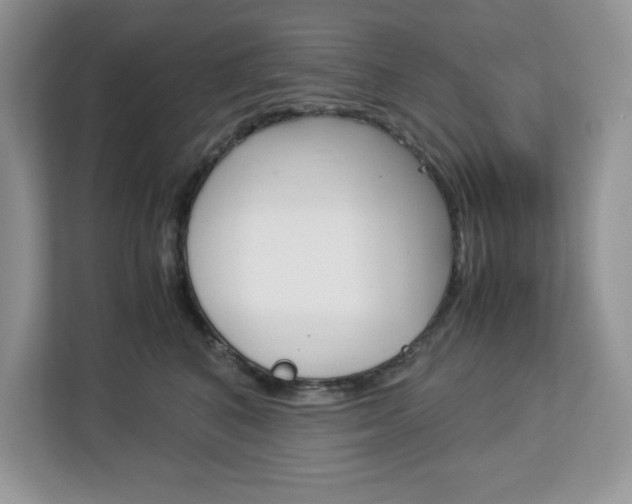 X0000113090616200908281008