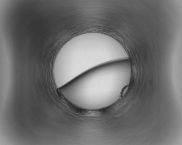 X0000113090617200908281008