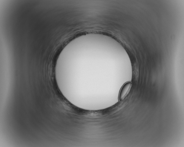 X0000113090619200908281008